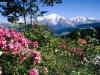 Mont Blanc, View From Cordon Village, Haute-Savoie, France